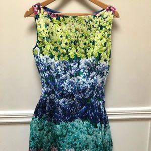 Rina Scimento floral fitted  mini dress